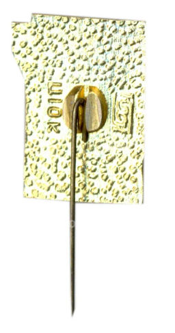 Значок Павлово