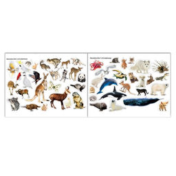 100 наклеек Животные со всего света, 12 стр. - Буква-ленд фото 5