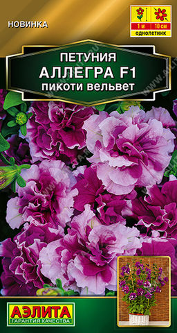 Петуния Аллегра F1 пикоти вельвет полумахровая