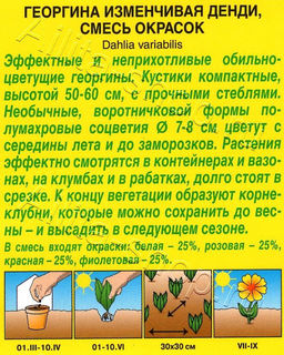 Георгина воротничковая Денди, смесь 0,3г (Аэлита)