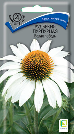 Рудбекия (Эхинацея) пурпурная Белая лебедь (ЦВ) (М) 0,1гр. - Поиск фото 2