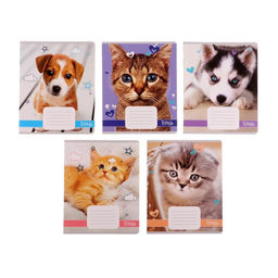 Цена за 20 шт. Тетрадь 18 листов в линию Calligrata "Домашние животные", обложка мелованный картон, ВД-лак, блок офсет, белизна 95%, МИКС
