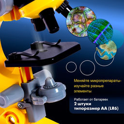 Микроскоп детский «Юный ботаник» кратность х100, х400, х1200, желтый, подсветка