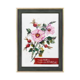 Рамка Gamma ПРК-23 21 х 30 см пластик. с оргстеклом зеленый