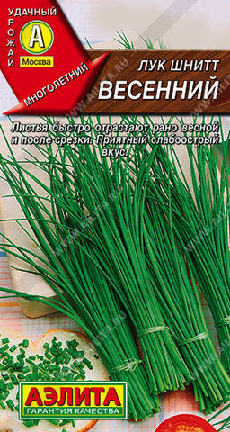 0578A Лук шнитт Весенний 0,5гр
