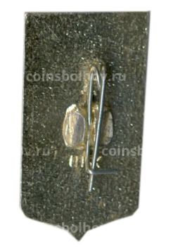 Значок Пенза