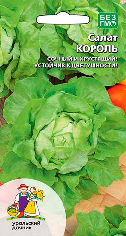 Салат КОРОЛЬ Сочный и хрустящий! Устойчив к цветушности!