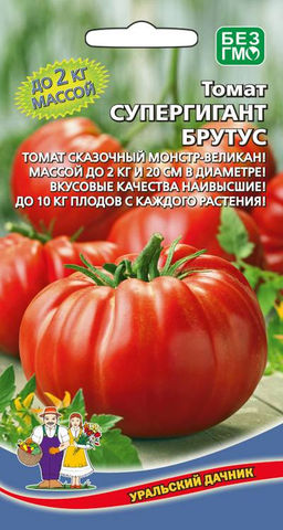 Томат СУПЕРГИГАНТ БРУТУС Сказочный монстр-великан массой до 2 кг! Наивысшие вкусовые качества! До 10 плодов с каждого растения!