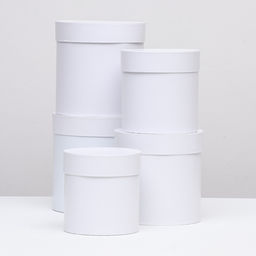 Набор круглых коробок 5в1 Белизна перламутровая, 20 20 15 15 см