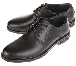 Дерби Baden ZD033-010