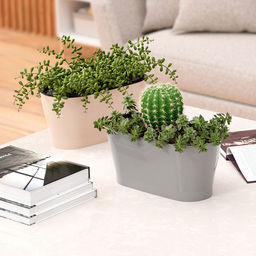 Горшок для цветов пластмассовый "Лея" 4л, 30х14,5х14см, овальный, со вставкой, с автополивом, бежевый (Россия)