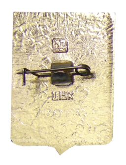 Значок Боровичи