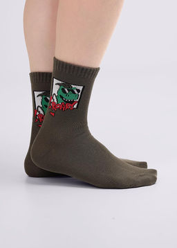 (CLE) C4437 носки дет. дино мал.