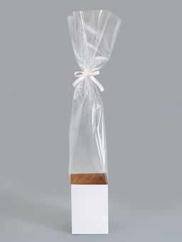 Цена за 10 шт. Пакет-переноска для цветов, 14х14х20х87±5% см