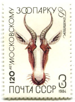 Марка 120 лет московскому зоопарку Бонтебок 1984 год