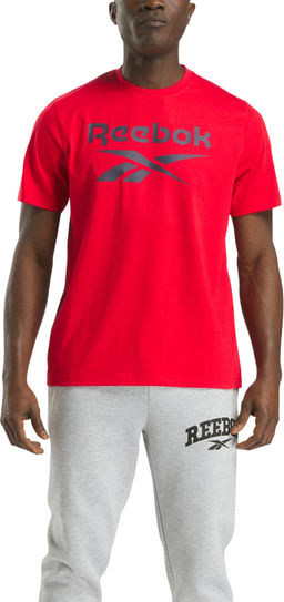 Футболка мужская