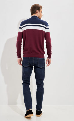 Джемпер мужской в полоску с воротником-стойкой на молнии F221-15-831 сине-бордовый - Fine joyce фото 7