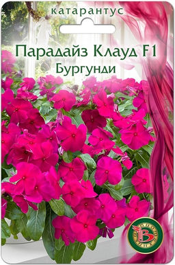 Катарантус Парадайз Клауд F1 Бургунди