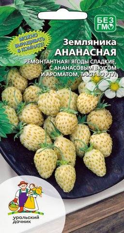 Земляника АНАНАСНАЯ
