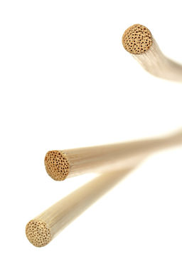 Розги из лозы TOYFA Theatre, бежевый, 60 см