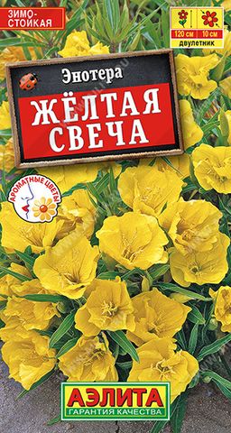 Энотера Желтая свеча (2026)