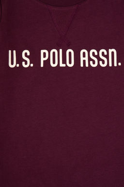 Erkek _ocuk Bordo Bisiklet Yaka Sweatshirt - U.s. polo assn фото 13
