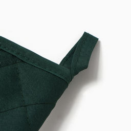 Варежка - прихватка «Доляна. Алоэ вера», 20×27 см