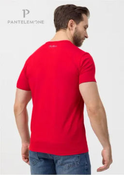 Футболка мужская MF-1087 - Pantelemone фото 2