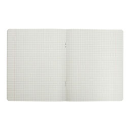 Комплект тетрадей из 10 штук, 18 листов в клетку, Однотонная Новая Школьная. Эконом, обложка мелованная бумага, ВД-лак, белизна 75% (серые листы) - Calligrata фото 2