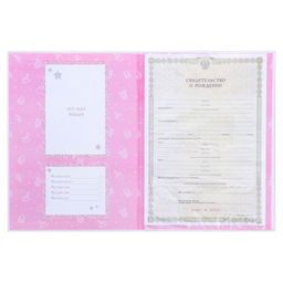 Папка для свидетельства о рождении с уголками Мои первые документы, для девочки, А4 - Долго и счастливо фото 5