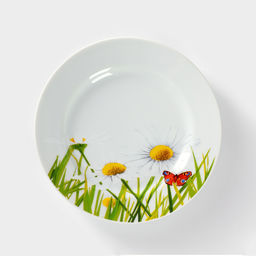 Тарелка фарфоровая «Ромашка», d=20 см, белая