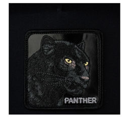 Бейсболка GOORIN BROTHERS арт. 101-1663 (черный / серый) фото 3