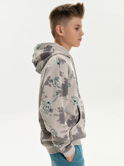 PELICAN, толстовка для мальчиков, Светло-серый  фото 2