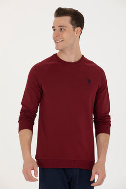 U. S. Polo Assn / Мужской бордово-красный базовый свитшот - U.s. polo assn фото 17