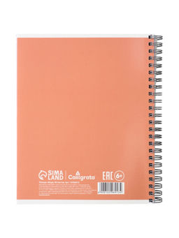 Тетрадь 96 листов в клетку, на гребне, Apricot, МИКС - Calligrata фото 7