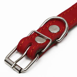 Ошейник комбинированный кожа/брезент, 53 х 2.5 см, ОШ 35-45 см, красный - Пижон фото 4