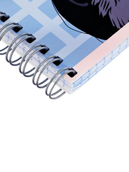 Набор тетрадей Calligrata «Аниме. Девочка с котом», 3 штуки, 96 листов, на гребне, обложка из мелованного картона