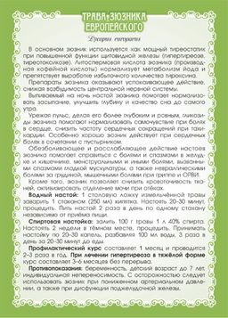 2 шт. Зюзник европейский (трава) - Мариславна фото 3