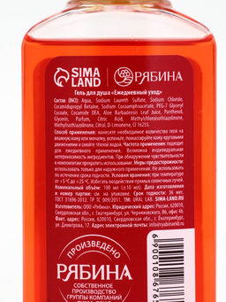 Подарочный набор новогодний Ароматы праздника, гель для душа, глинтвейн, 100 мл и носки, URAL LAB