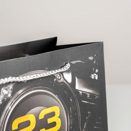 Цена за 2 шт. Пакет подарочный ламинированный, упаковка, «23 февраля», ML 23×27×11.5 см