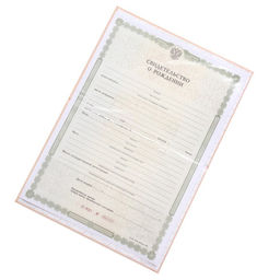 Папка для свидетельства о рождении Лев, А5 - Долго и счастливо фото 5