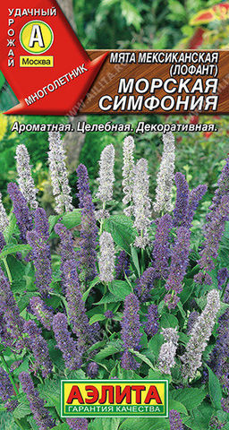 0641A Мята мексиканская Морская симфония 0,05гр