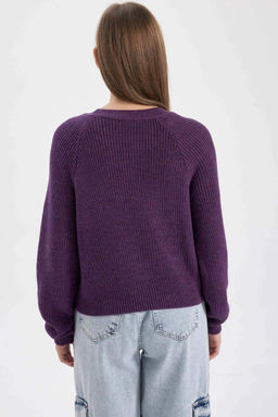 Крутой свитер стандартной посадки с круглым вырезом - Defacto фото 7