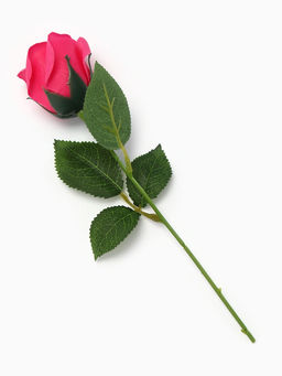 Мыльная роза фуксия в коробке - SB BEAUTY фото 4