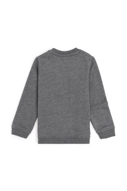 U. S. Polo Assn / Базовый свитшот для мальчика антрацитовый меланж - U.s. polo assn фото 5