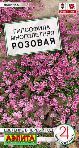 Гипсофила Многолетняя розовая (2029)