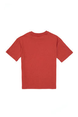 Erkek _ocuk G_l Kurusu Bisiklet Yaka Ti__rt - U.s. polo assn фото 2