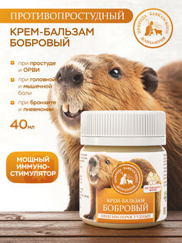 Крем-бальзам бобровый, противопростудный, пластик, 40 мл, «Природа кавказского долголетия»