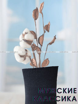 Цена за 5 пар. 5 - ПАР Легион носки мужские черные