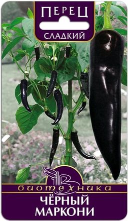 Перец сладкий Черный Маркони
